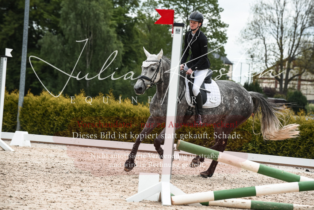 20230518_JK-Röhrsdorf-10-408 | Pferde- und Turnierfotografie in Westsachsen. Pferdeportraits, Auftragszeichnungen und intuitive Kunst.