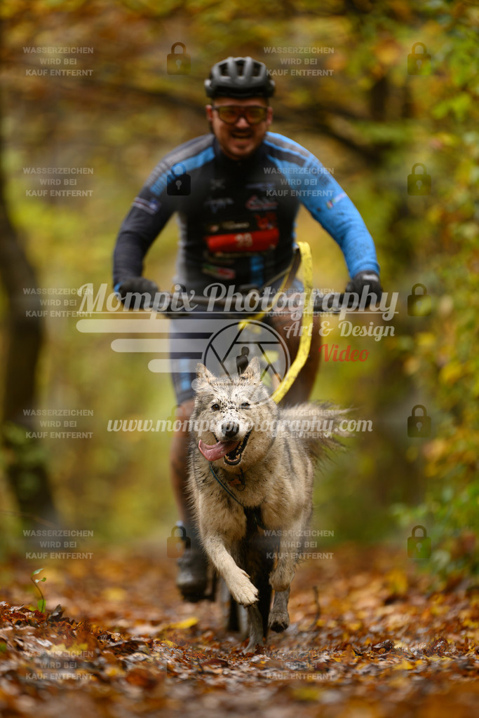 MompixPhotography_CD7S_DI_Bike-67 | mompixphotography