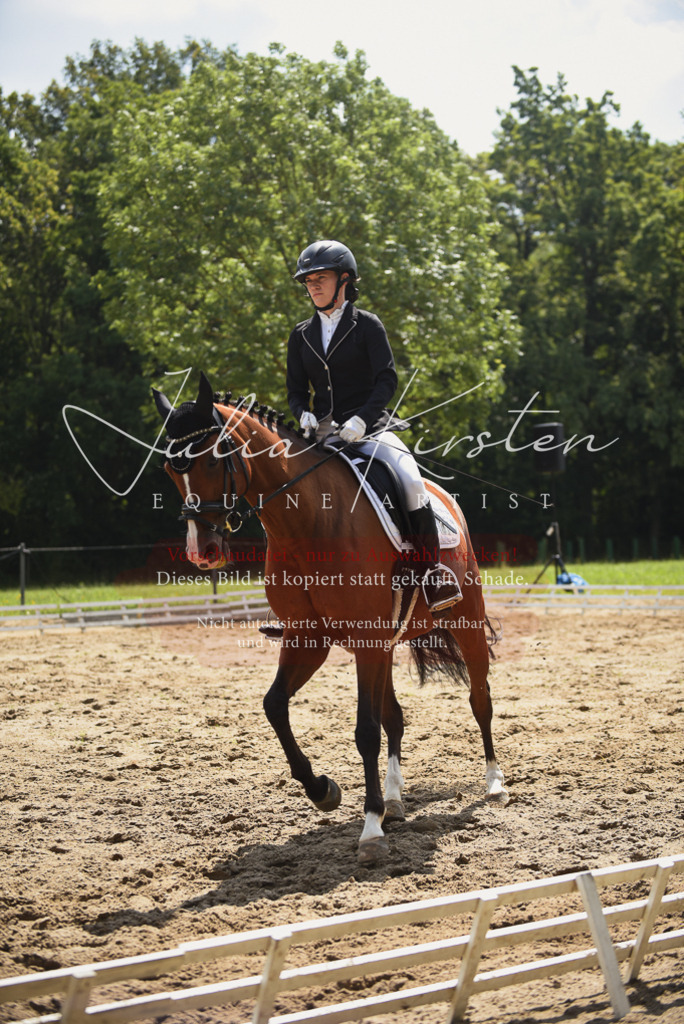 DSC_0920 | Pferde- und Turnierfotografie in Westsachsen. Pferdeportraits, Auftragszeichnungen und intuitive Kunst.