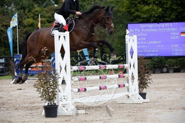 2B4A1568 | pixelfaenger - Realisiert mit Pictrs.com