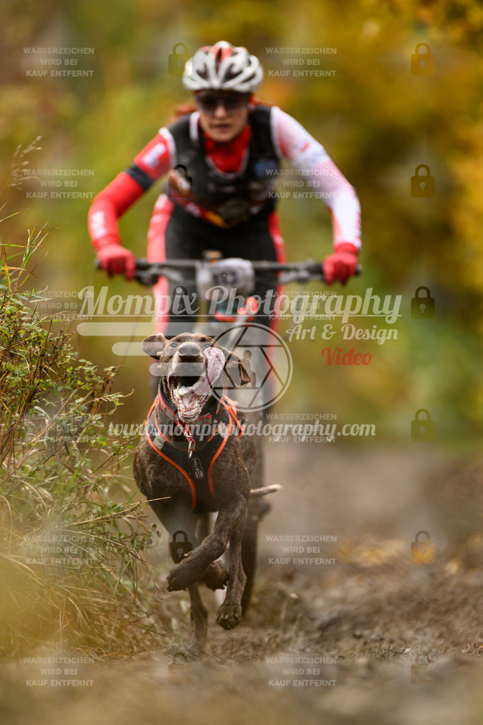 MompixPhotography_ICF_WC_2024_SA_Bike_-81 | PayLife