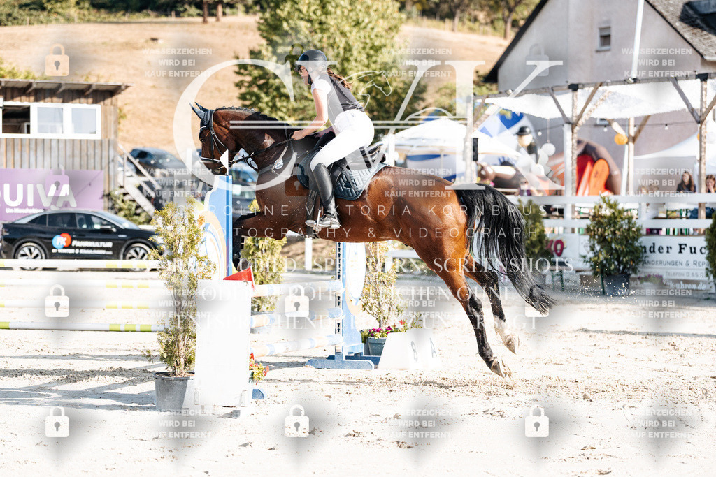 CK909534 | Turnierfotografie Pferdefotografie Trier Rheinland-Pfalz Pferdesport Reitsport Tierfotografie Sportfotografie Pferdevideo Pferdevideografie Equestrianvideography equestrianphotography  - Realisiert mit Pictrs.com