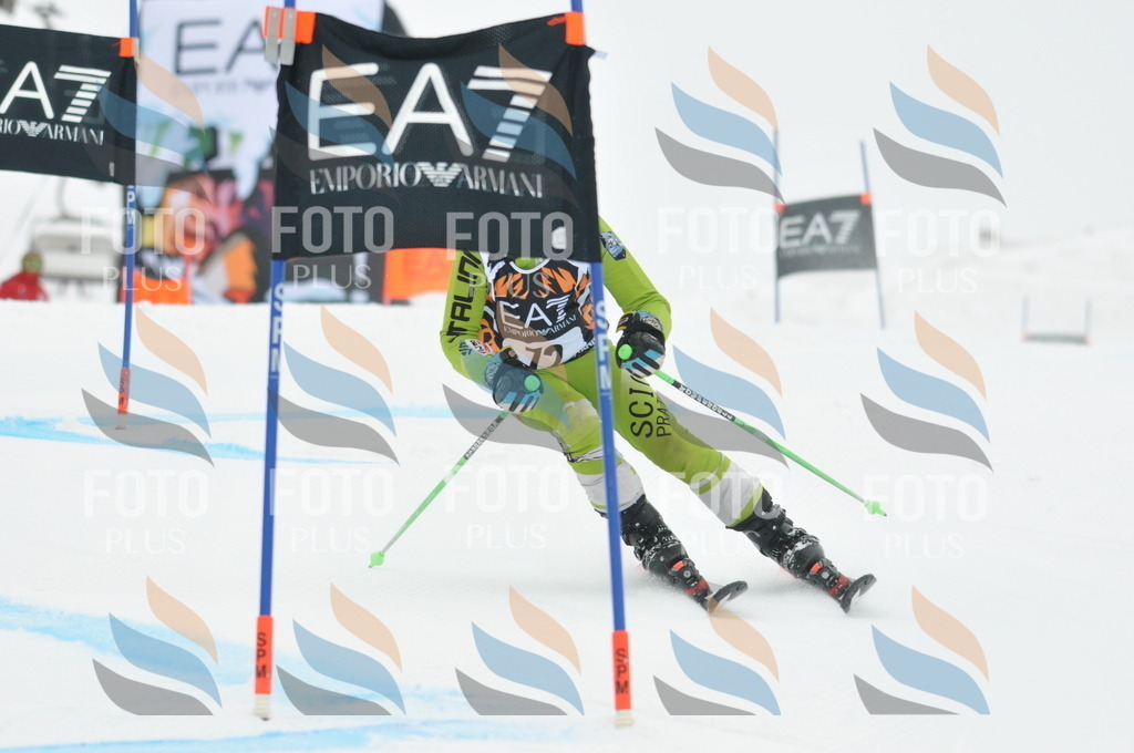 DSC_7854 | holidayphoto