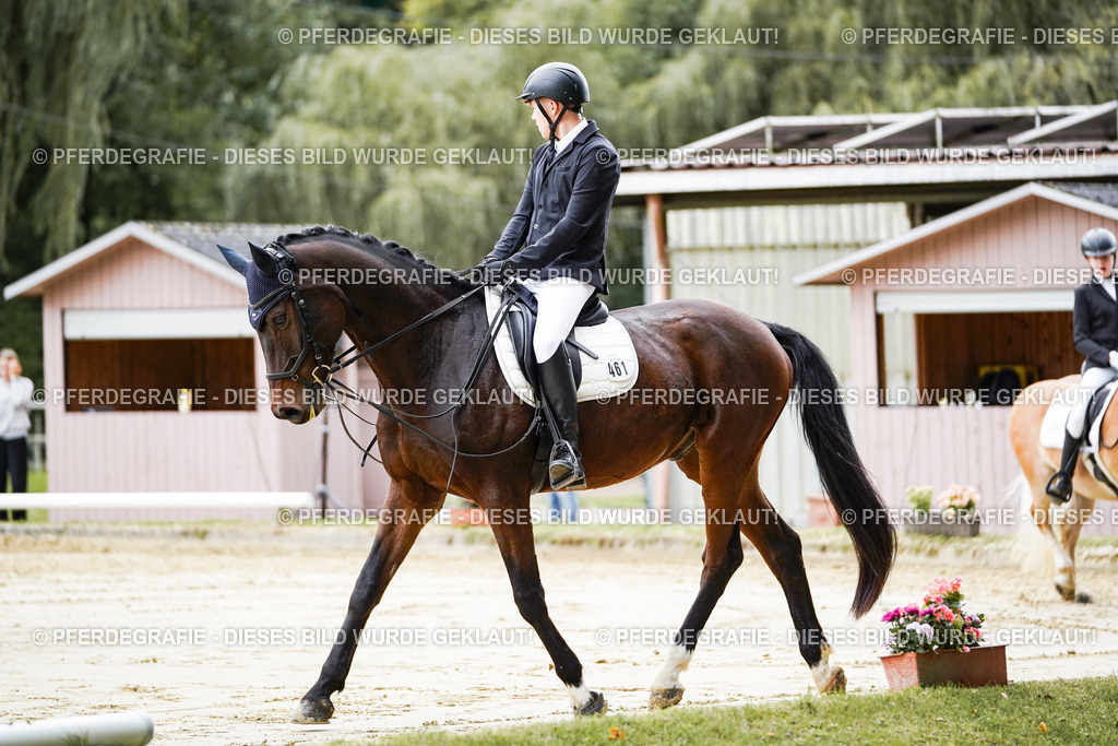 DSC04551 | Pferdegrafie