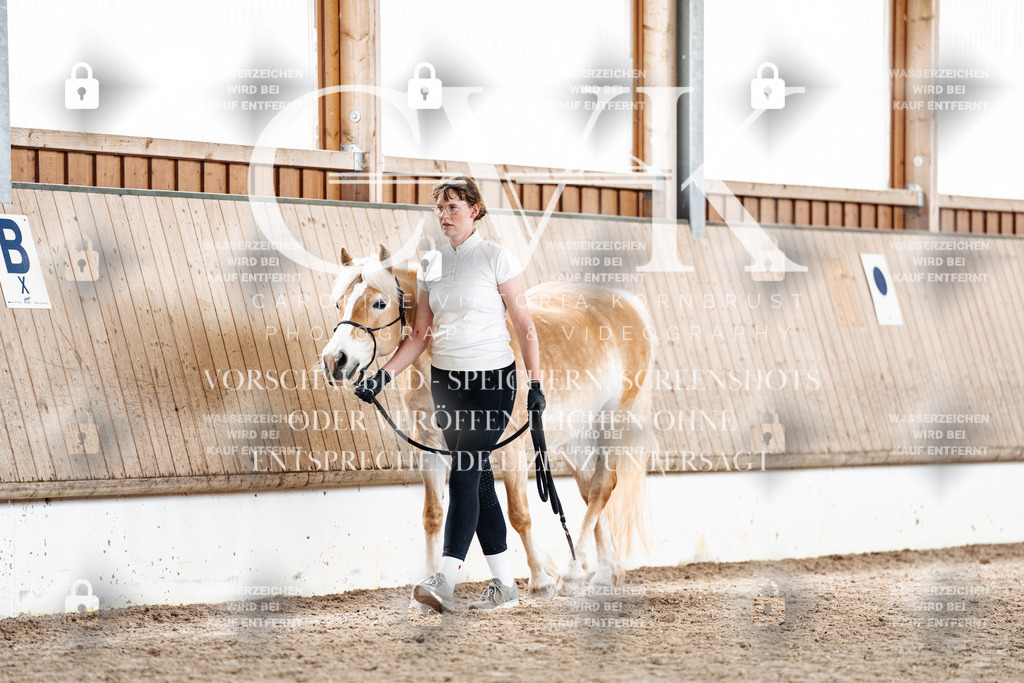CK907881 | Turnierfotografie Pferdefotografie Trier Rheinland-Pfalz Pferdesport Reitsport Tierfotografie Sportfotografie Pferdevideo Pferdevideografie Equestrianvideography equestrianphotography  - Realized with Pictrs.com