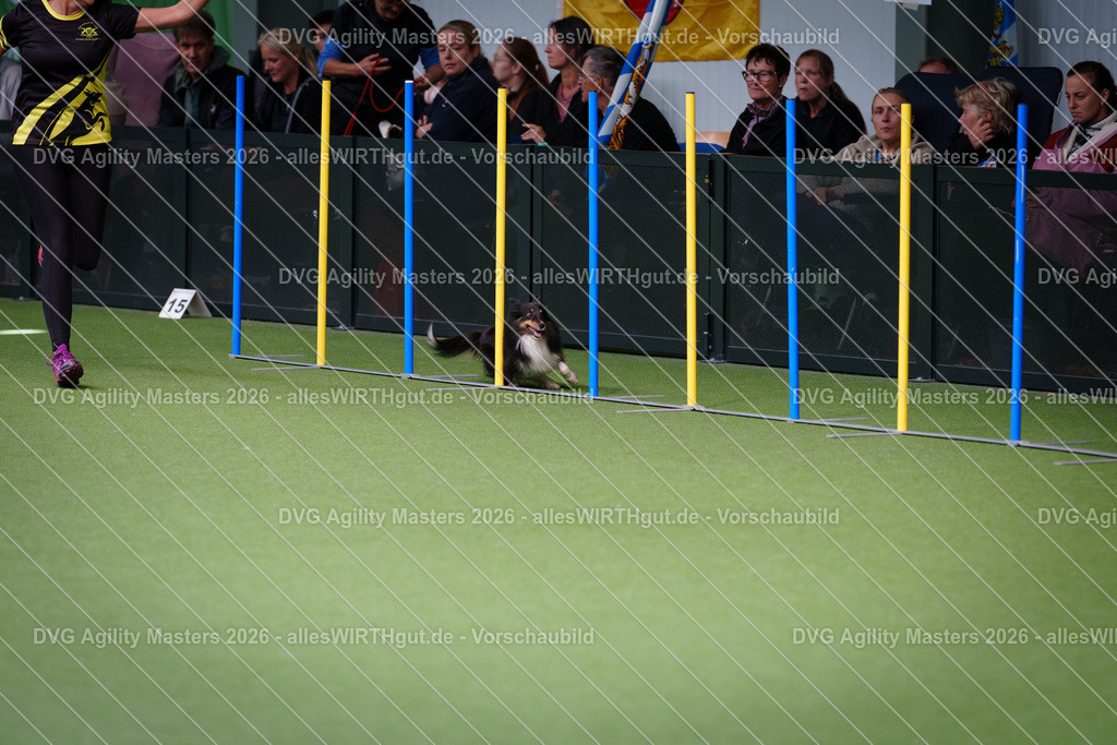 allesWIRTHgut_Tierfotografie-DVG_Agility_Masters_2026-12_07-7R507355 | Professionelle Tierfotografie in Mönchengladbach von Daniel Wirth (allesWIRTHgut). Liebevolle & natürliche Bilder von Hunden & Katzen für unvergessliche Erinnerungen.