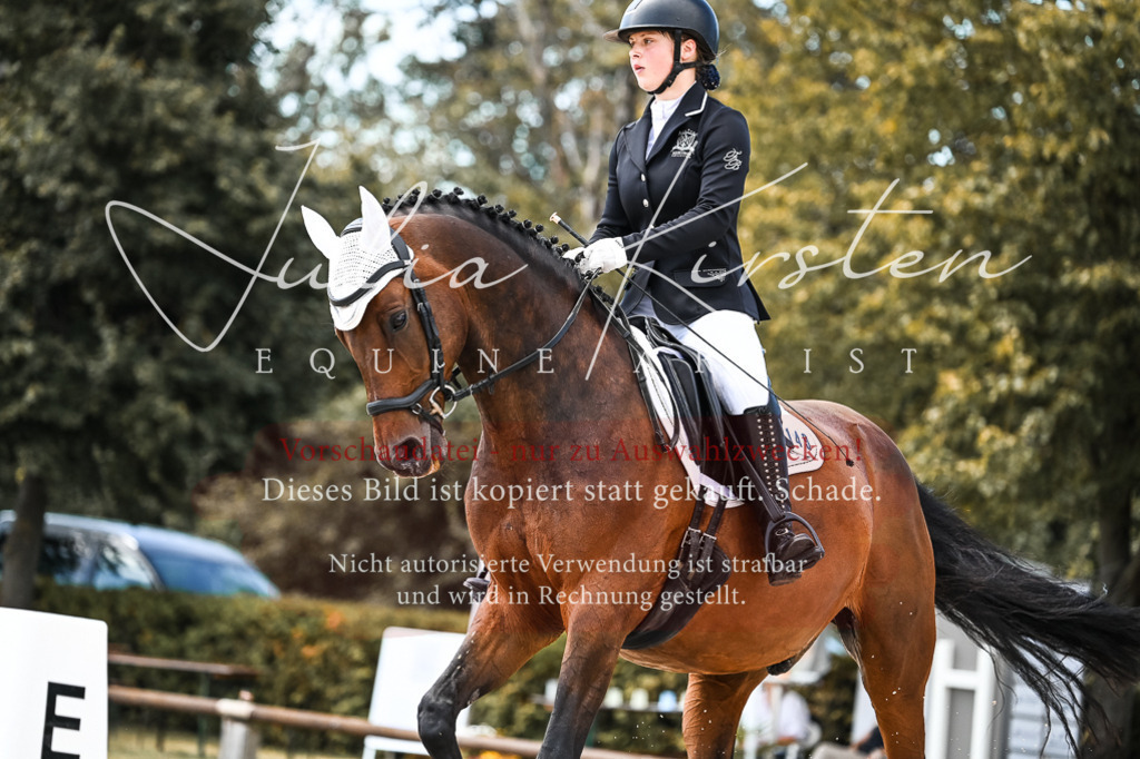 DSC_5656 | Pferde- und Turnierfotografie in Westsachsen. Pferdeportraits, Auftragszeichnungen und intuitive Kunst.