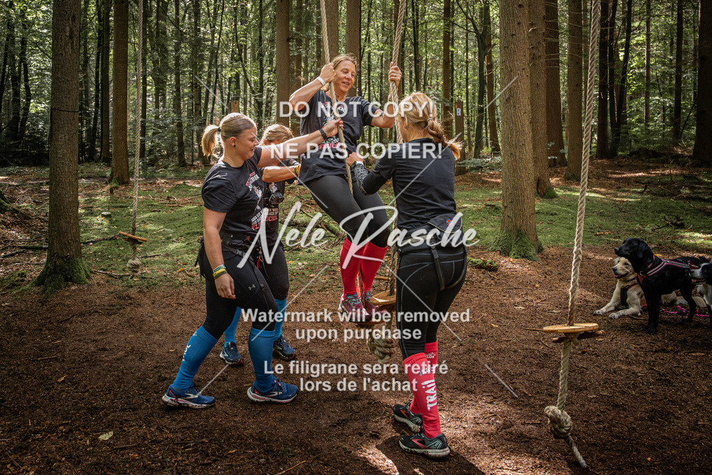 nelerasche_SoWingst1130-1230_215 | nelerasche