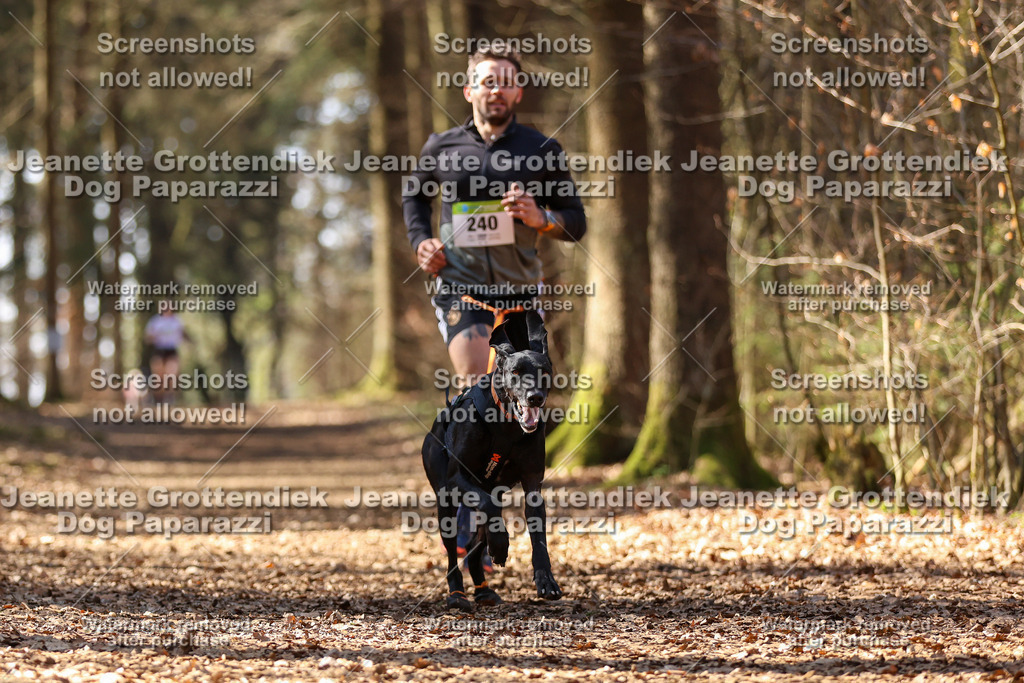 Dog Paparazzi - VCC26-1129 | Dog Paparazzi Jeanette Grottendiek Fotografie & Videografie - Realisiert mit Pictrs.com
