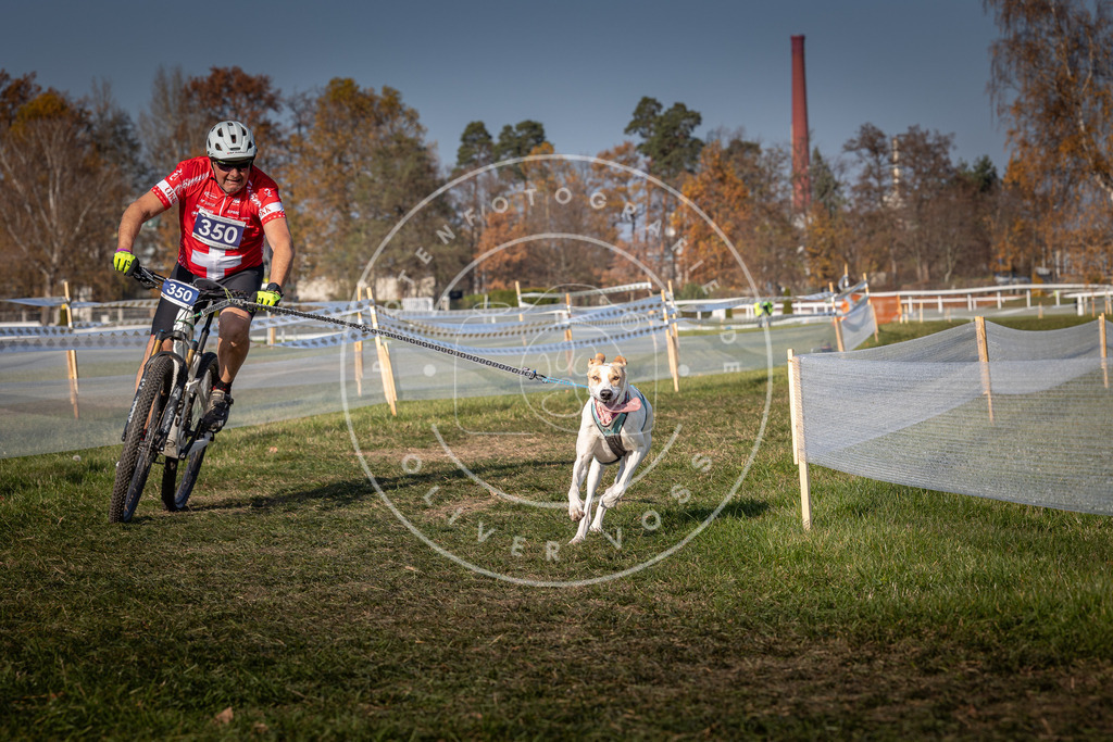CaniXpix_0L8A7662 | Hundefotografie, Tierfotograf, Pfotenfotografie, Fotoshooting Hund, Hunde Portrait, Hundesport, Hundeportraits, Heideshooting, Hunde, Sportfotograf, Hundefotograf, Turnierhundsport, THS,  - Realisiert mit Pictrs.com