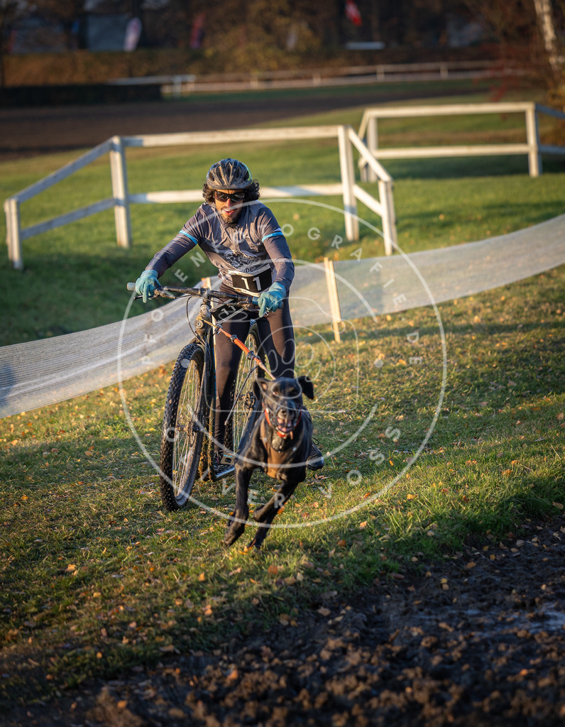 CaniXpix_DV3A9441 | Hundefotografie, Tierfotograf, Pfotenfotografie, Fotoshooting Hund, Hunde Portrait, Hundesport, Hundeportraits, Heideshooting, Hunde, Sportfotograf, Hundefotograf, Turnierhundsport, THS,  - Realisiert mit Pictrs.com