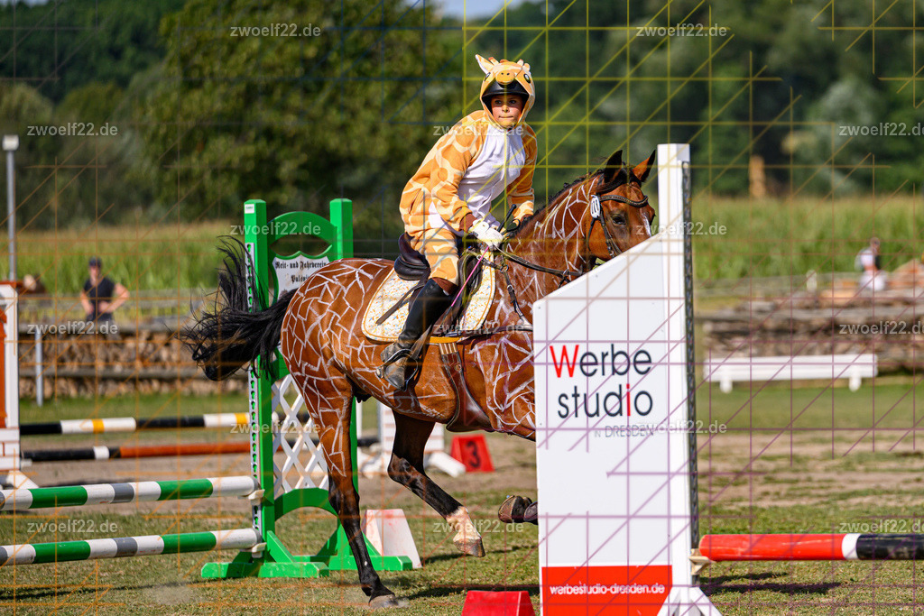 30 Jahre RFV Pulsnitz e.V., Pulsnitz am 09.08.2026 | Zur 28. breitensportlichen Veranstaltung des RFV Pulsnitz e.V. fanden verschiedene Wettbewerbe in nahezu allen Disziplinen des Pferdesport statt. - 05 Kostüm-Stilspring-Wettbewerb - Realisiert mit Pictrs.com