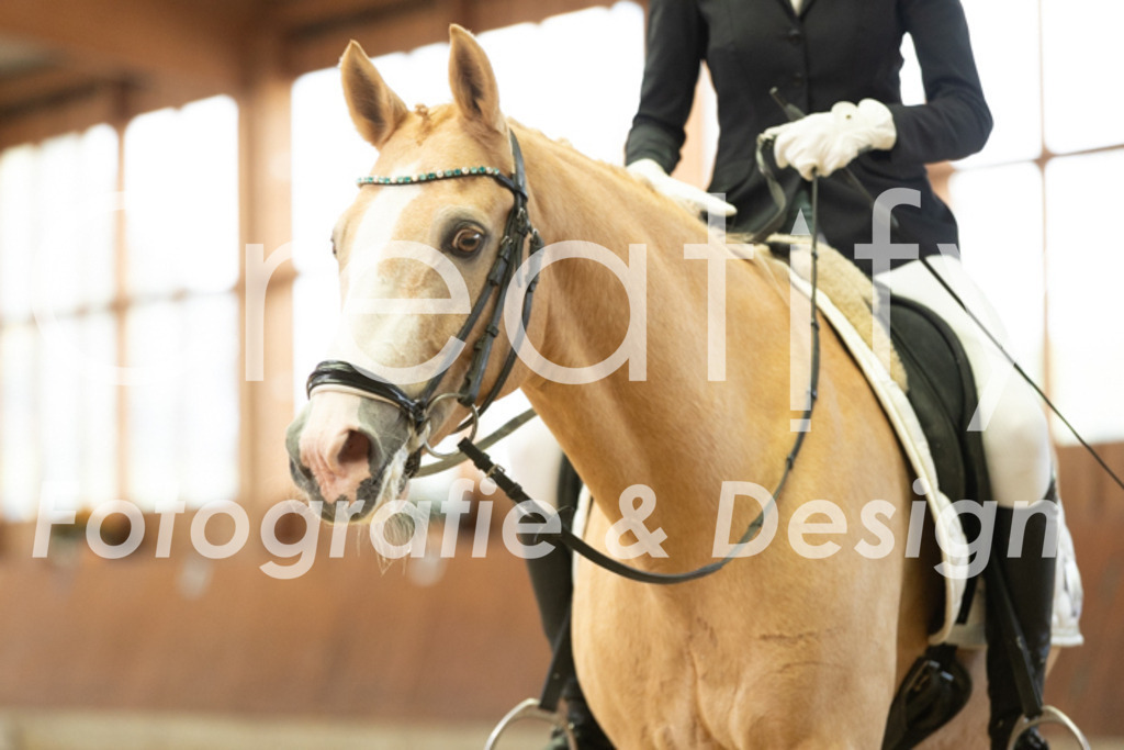 IMG_1369 | Creatify Fotografie