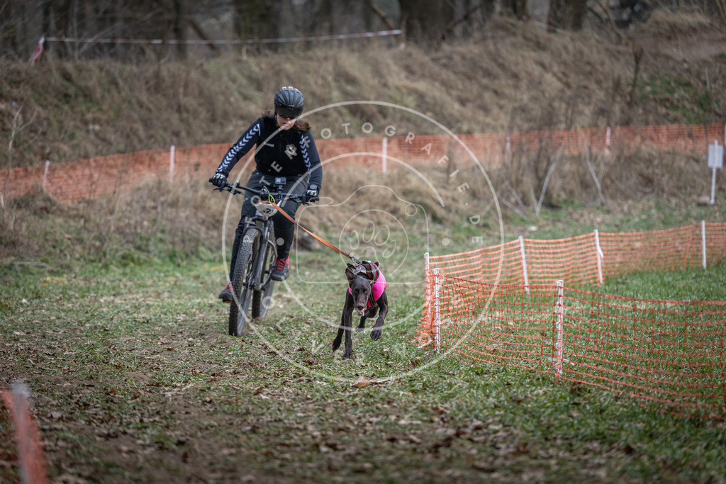 Pfotenfotografie_DV3A9573 | Hundefotografie, Tierfotograf, Pfotenfotografie, Fotoshooting Hund, Hunde Portrait, Hundesport, Hundeportraits, Heideshooting, Hunde, Sportfotograf, Hundefotograf, Turnierhundsport, THS,  - Realisiert mit Pictrs.com