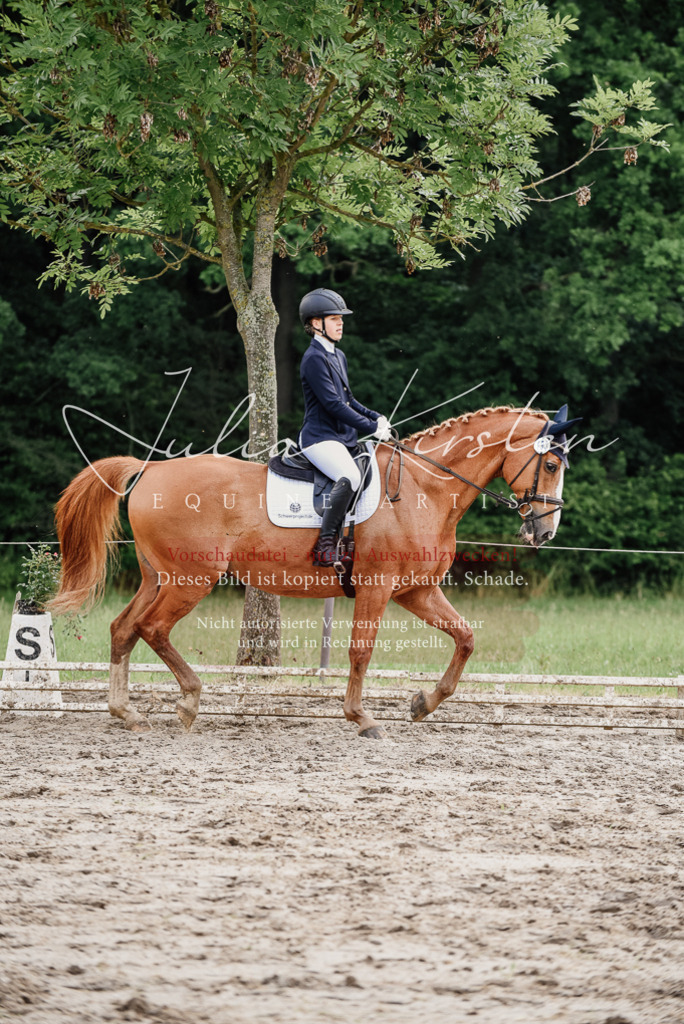 DSC_9962 | Pferde- und Turnierfotografie in Westsachsen. Pferdeportraits, Auftragszeichnungen und intuitive Kunst.