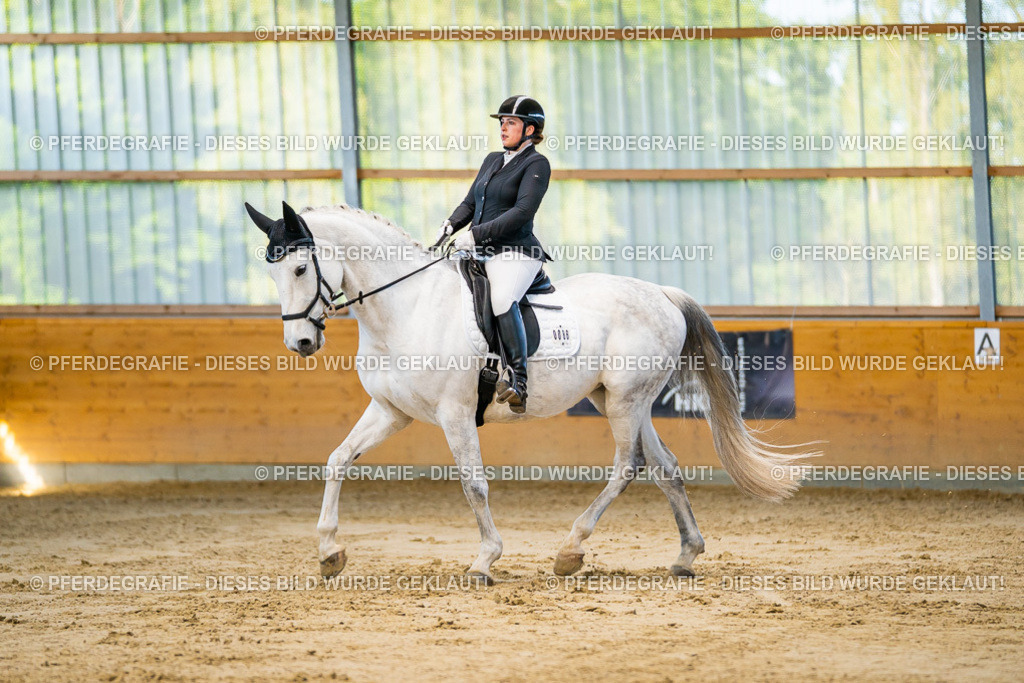 DSC06202 | Pferdegrafie