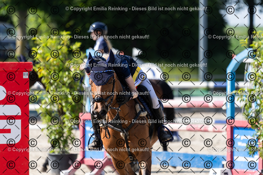 CL5A1102 | Emilia Reinking Fotografie - Realisiert mit Pictrs.com