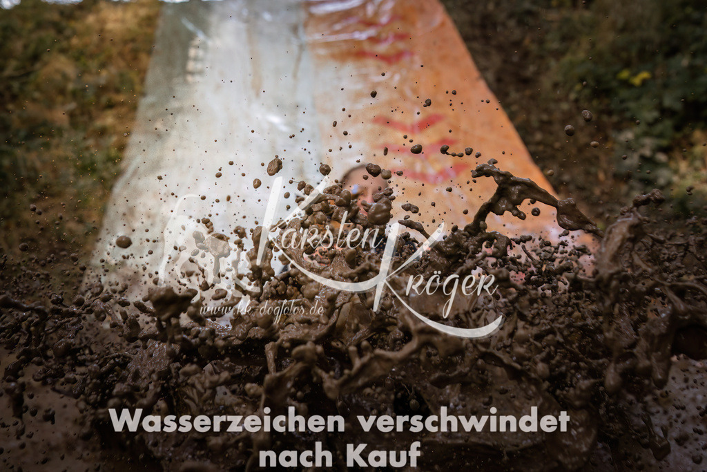 1045_ZZ94566 | kk-dogfotos