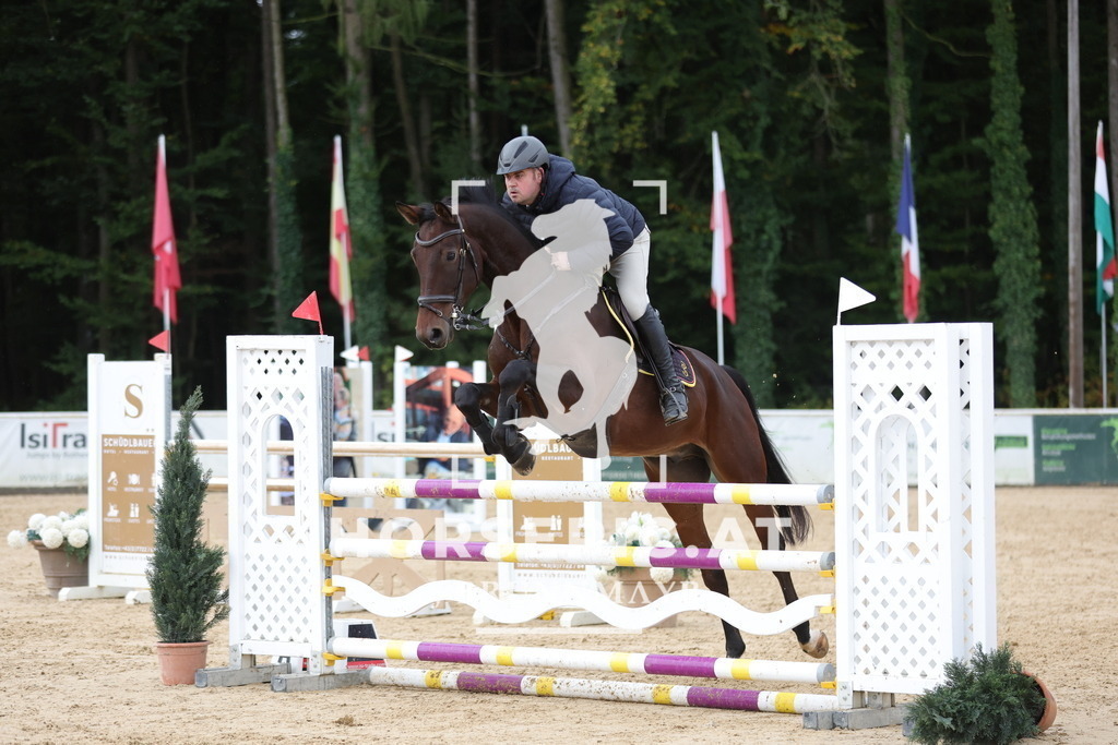 0P6A7907 | Willkommen bei Brunnmayr - Design & Fotografie – Ihrem Spezialisten für Reitturniere und Pferdeveranstaltungen in Oberösterreich, Salzburg und Bayern! Seit über 17 Jahren sind wir leidenschaftlich dabei.