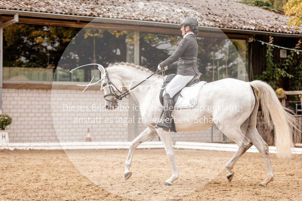 3I6A7805 | Stimmungsvolle Portraits und Reitsportfotografie im Ruhrgebiet und im Münsterland.

Pferdefotografie, Hundefotografie, Tierfotografie, Reportagen, Portraits von Tier und Mensch, Turnierfotografie in Bochum, Recklinghausen, Marl, Haltern am See, Dülmen.. - Realisiert mit Pictrs.com