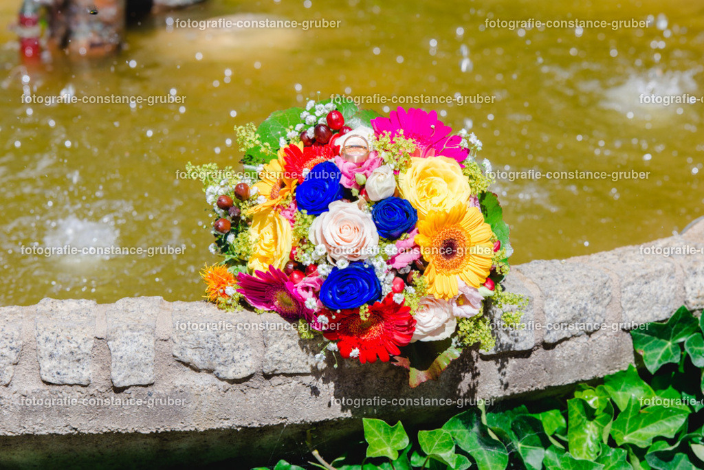 1010 | Fotografie Constance Gruber - Realisiert mit Pictrs.com