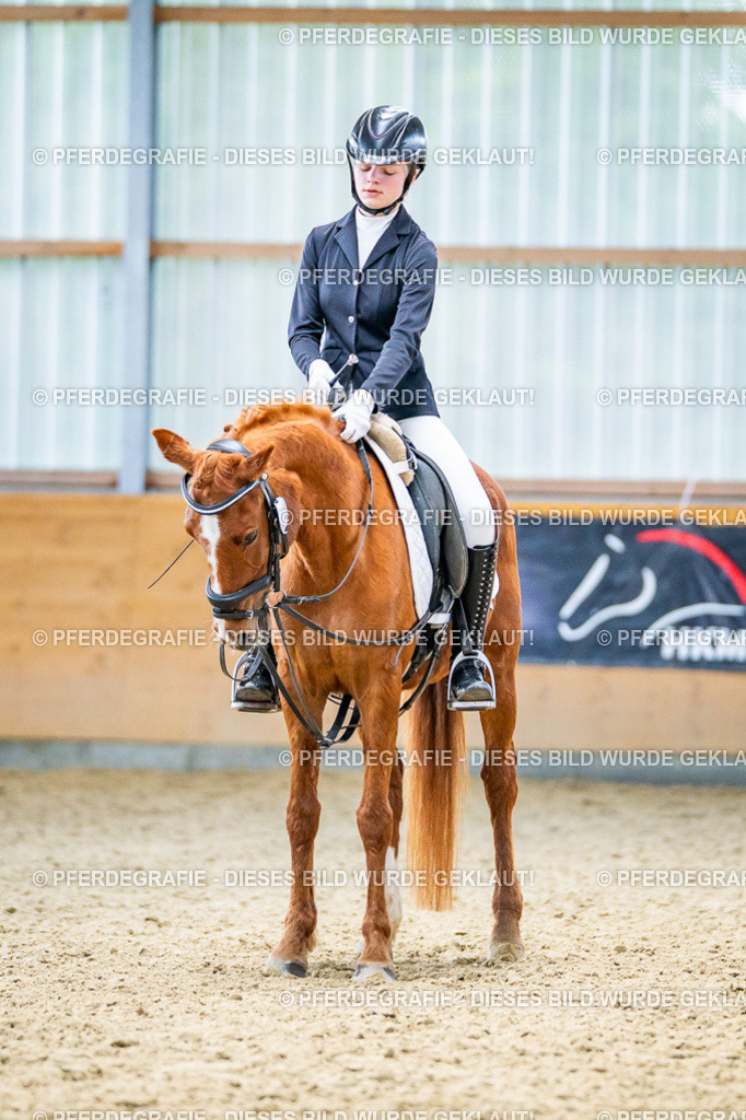 DSC04018 | Pferdegrafie