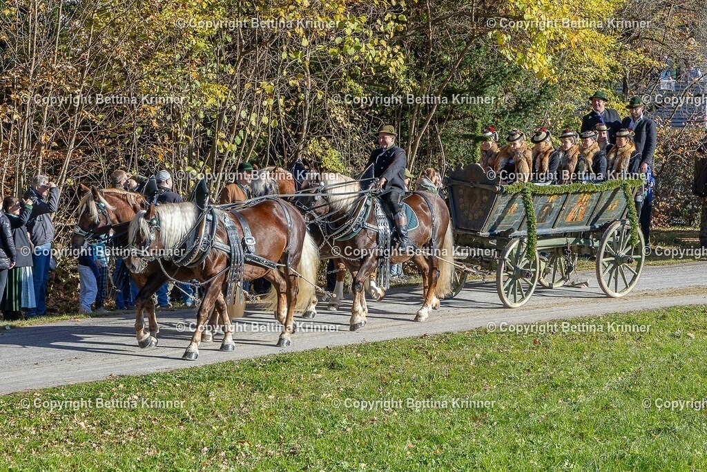 LBT25-557 | foto-bettina-krinner - Realisiert mit Pictrs.com