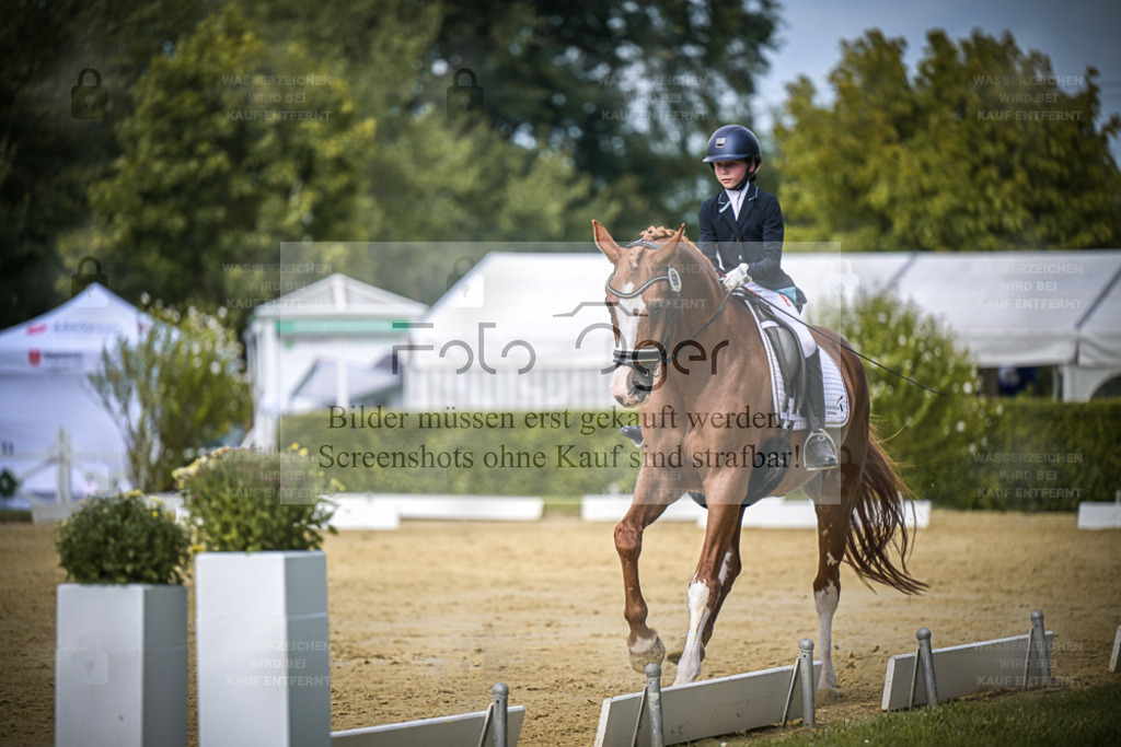 DOS_5956 | Entdecke hochwertige Reitturnierfotos von Foto Oger. Professionell, emotional und authentisch – jetzt Lieblingsmomente im Shop bestellen. - Realisiert mit Pictrs.com