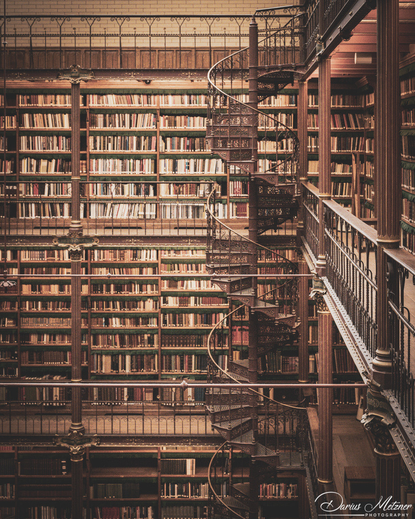 _DSC4318 | Fotografien, Fotos und Bilder aus Mainz, Frankfurt, Wiesbaden und anderen Orten auf der Welt - Fotografiert von Darius Metzner