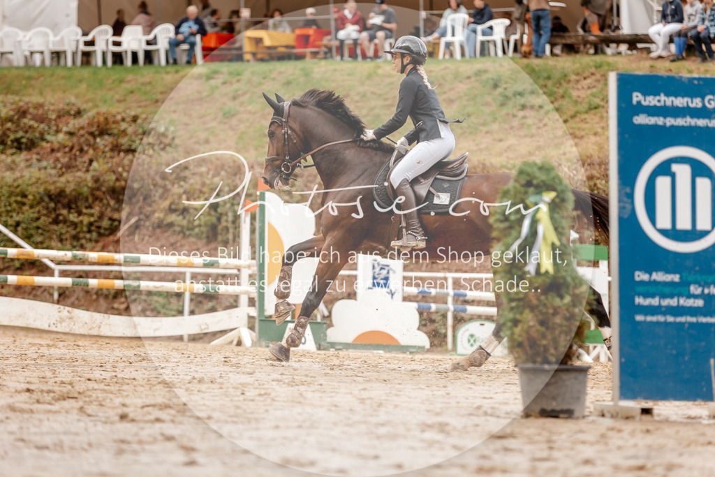 3I6A6873 | Stimmungsvolle Portraits und Reitsportfotografie im Ruhrgebiet und im Münsterland.

Pferdefotografie, Hundefotografie, Tierfotografie, Reportagen, Portraits von Tier und Mensch, Turnierfotografie in Bochum, Recklinghausen, Marl, Haltern am See, Dülmen.. - Realisiert mit Pictrs.com