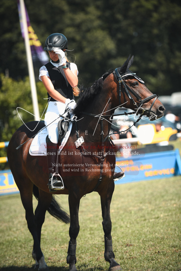 DSC_6609 | Pferde- und Turnierfotografie in Westsachsen. Pferdeportraits, Auftragszeichnungen und intuitive Kunst.