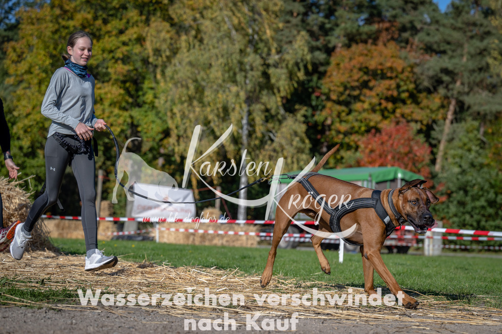 1117_ZZ93097 | kk-dogfotos