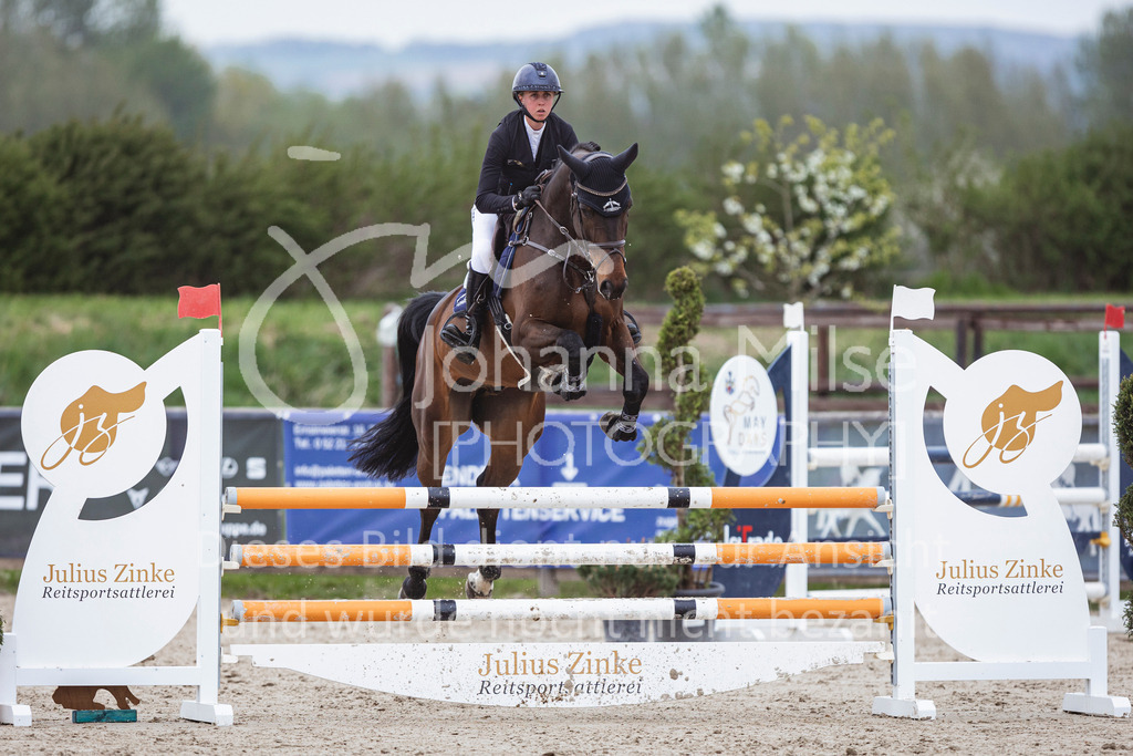 250417_Springpferde-L1-281 | Deine schönsten Turniermomente als professionelle Fotos! Entdecke hochwertige Pferdesport-Fotografie im Online-Shop. Jetzt Fotos finden & bestellen!