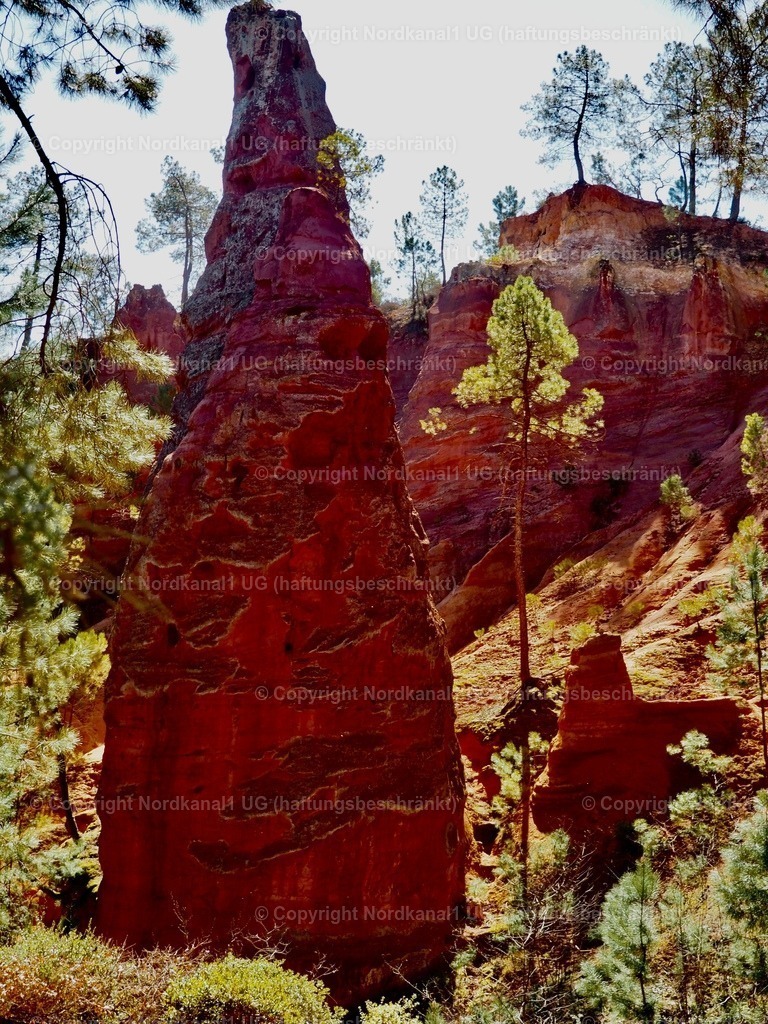 IMG_2928 | OLYMPUS DIGITAL CAMERA          - Realisiert mit Pictrs.com