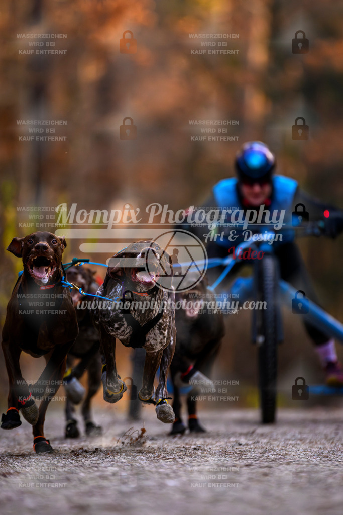 MompixPhotography_DM_AKDM_SO_2025_Wagen-44 | PayLife