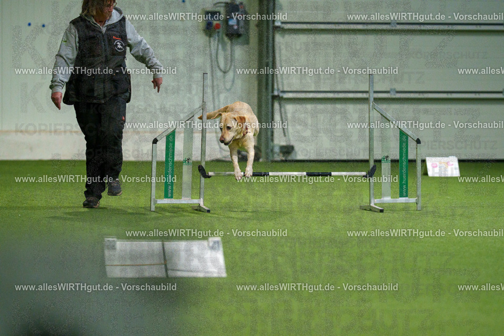 7R504656 | Professionelle Tierfotografie in Mönchengladbach von Daniel Wirth (allesWIRTHgut). Liebevolle & natürliche Bilder von Hunden & Katzen für unvergessliche Erinnerungen.