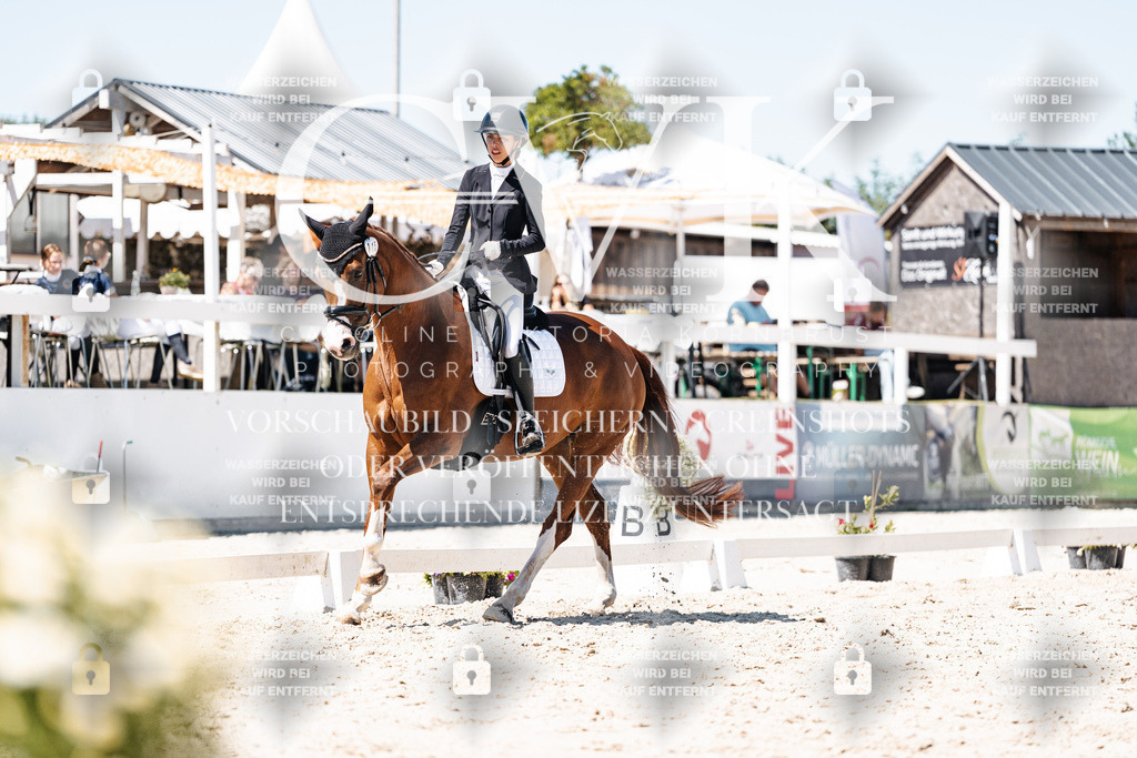 CK900511 | Turnierfotografie Pferdefotografie Trier Rheinland-Pfalz Pferdesport Reitsport Tierfotografie Sportfotografie Pferdevideo Pferdevideografie Equestrianvideography equestrianphotography  - Realisiert mit Pictrs.com