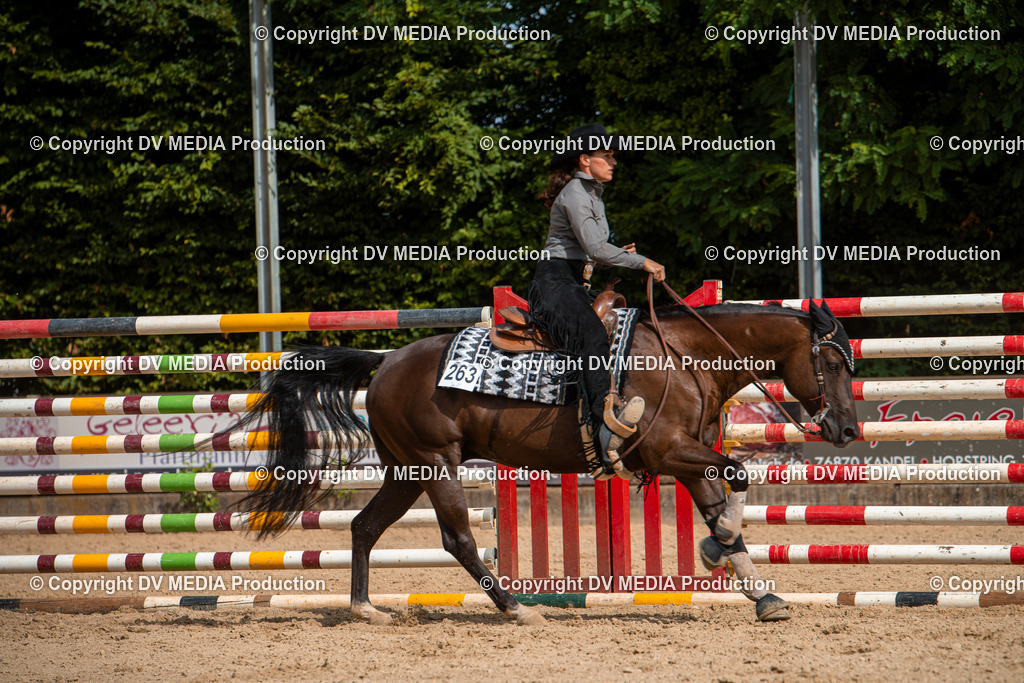 EWP_5915 | dv-media-shop - Realisiert mit Pictrs.com