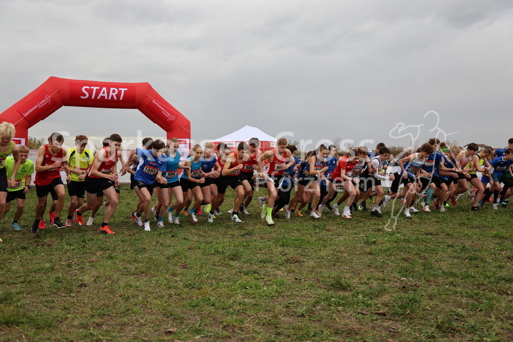 IMG_4021 | sparkassencross