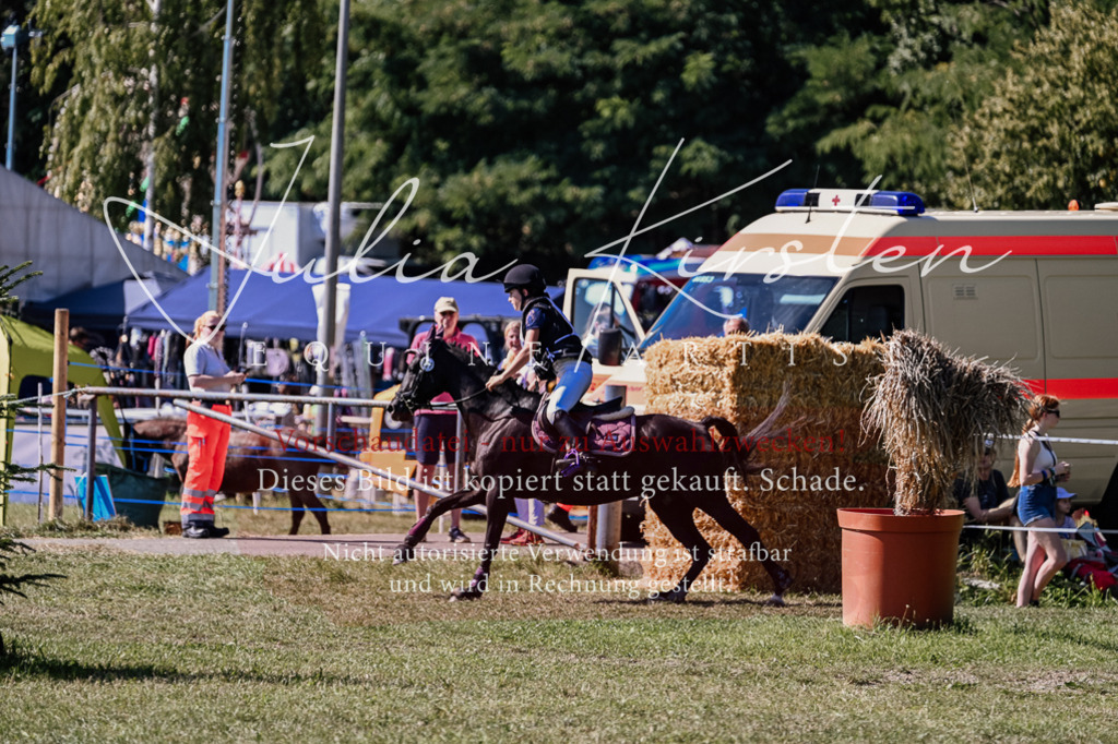 DSC_1928 | Pferde- und Turnierfotografie in Westsachsen. Pferdeportraits, Auftragszeichnungen und intuitive Kunst.
