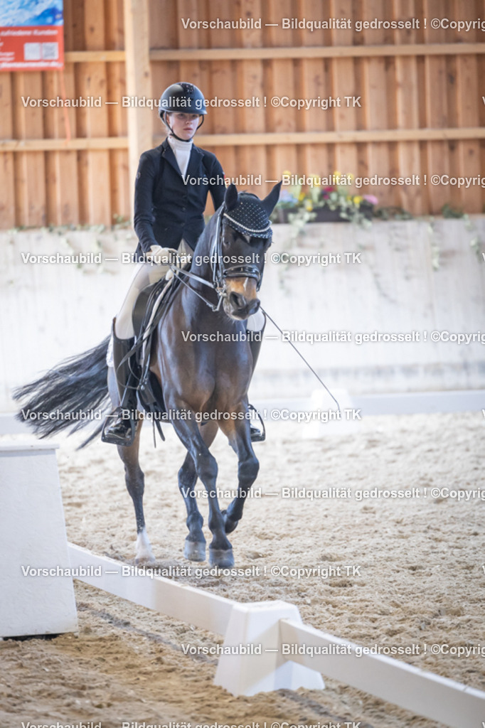 _D5A5168 | Emotionale Pferde- & People-Fotografie rund um Heidelberg, Leimen & Umgebung. Natürliche Fotos von Pferd, Mensch & Familie. Jetzt Termin sichern!