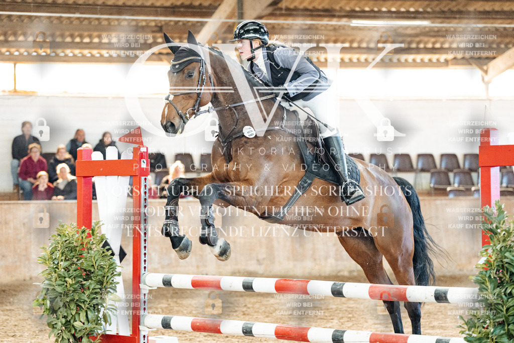 CK904655 | Turnierfotografie Pferdefotografie Trier Rheinland-Pfalz Pferdesport Reitsport Tierfotografie Sportfotografie Pferdevideo Pferdevideografie Equestrianvideography equestrianphotography  - Realized with Pictrs.com
