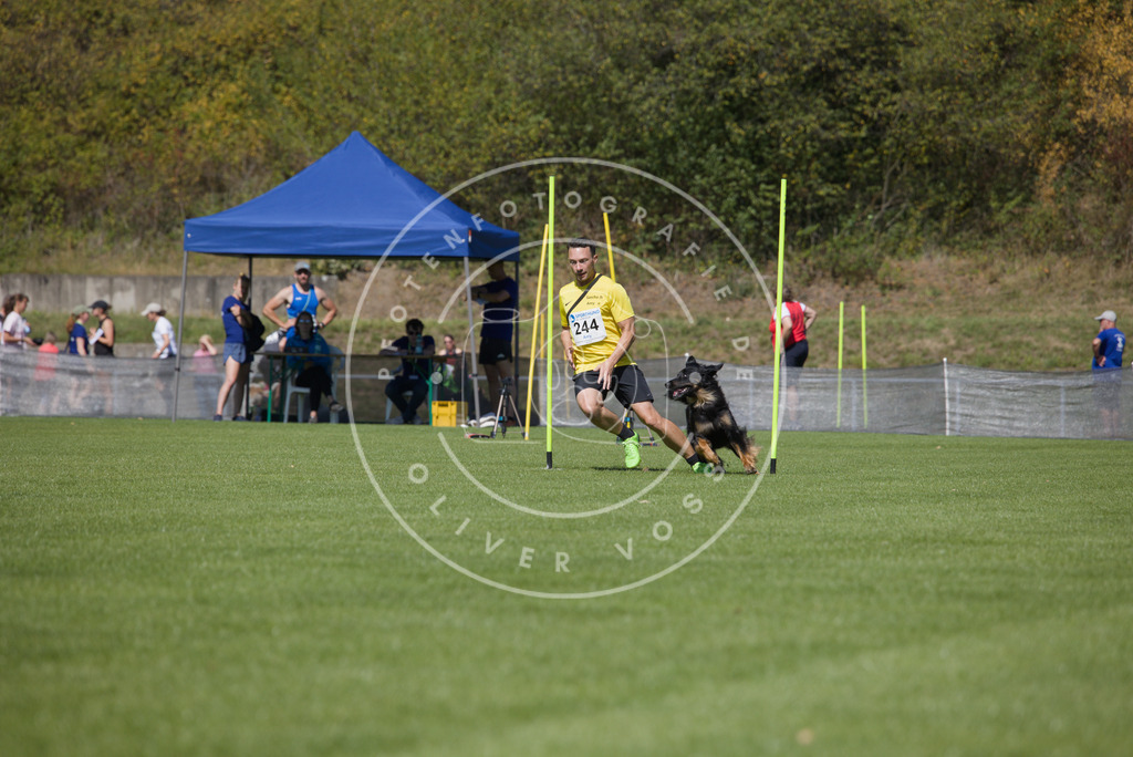 0L8A6189 | Hundefotografie, Tierfotograf, Pfotenfotografie, Fotoshooting Hund, Hunde Portrait, Hundesport, Hundeportraits, Heideshooting, Hunde, Sportfotograf, Hundefotograf, Turnierhundsport, THS,  - Realisiert mit Pictrs.com