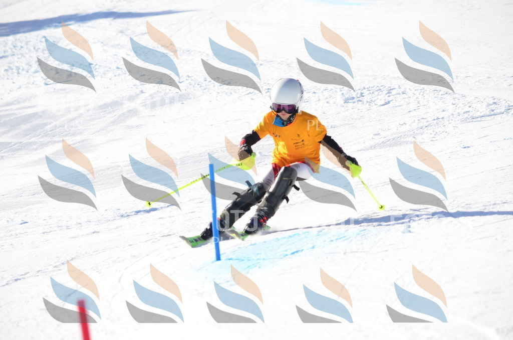 C6146 | holidayphoto