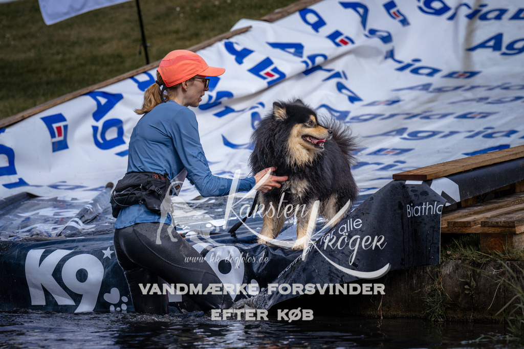 _ZZ907890908 | kk-dogfotos
