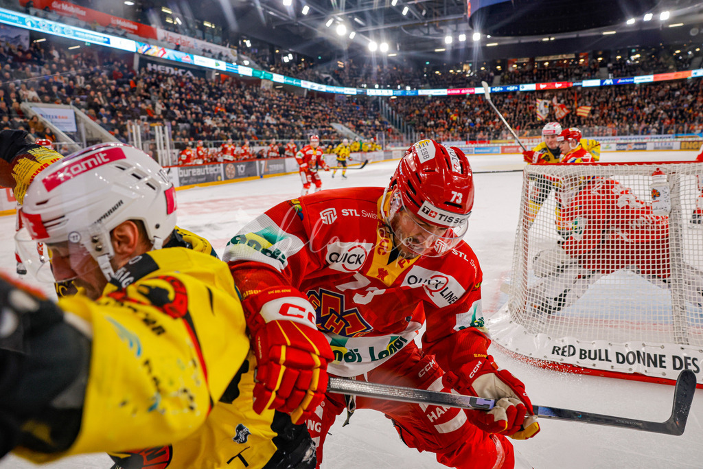 EHCB vs SCB 20260110_wb-3642 | Sportbilder, Sportfotograf, Hochzeits- und Eventfotografin, Flugshows, Portraits und Tiershooting, Aviation, Downhill, Nationalleague, Swissleague, International