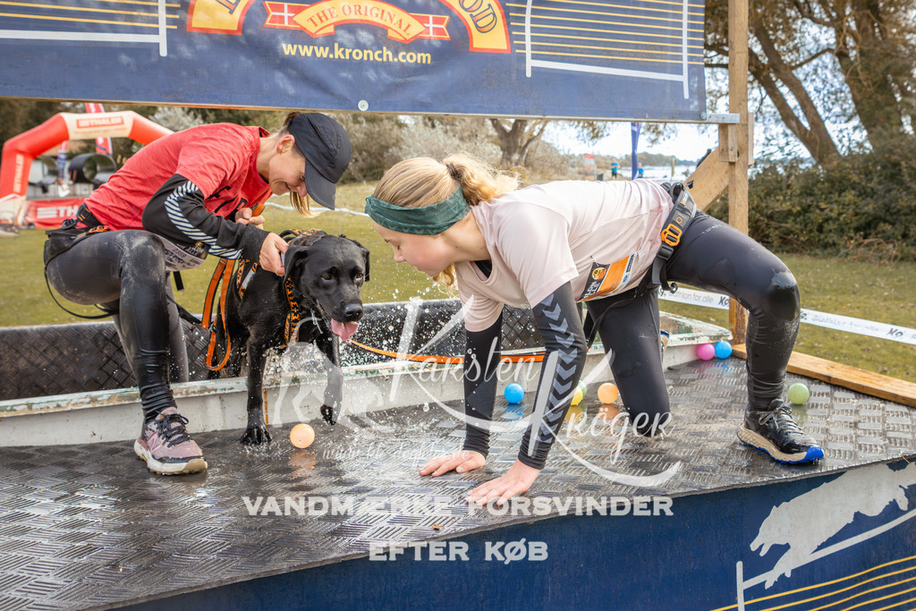 1353_ZZ92658-2 | kk-dogfotos