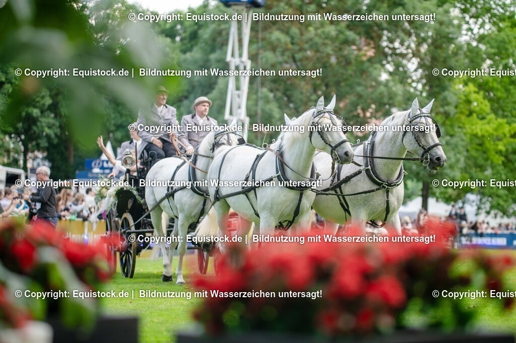 20250606_Lange-Pferdenacht_0164 | Foto: Thomas Hartig