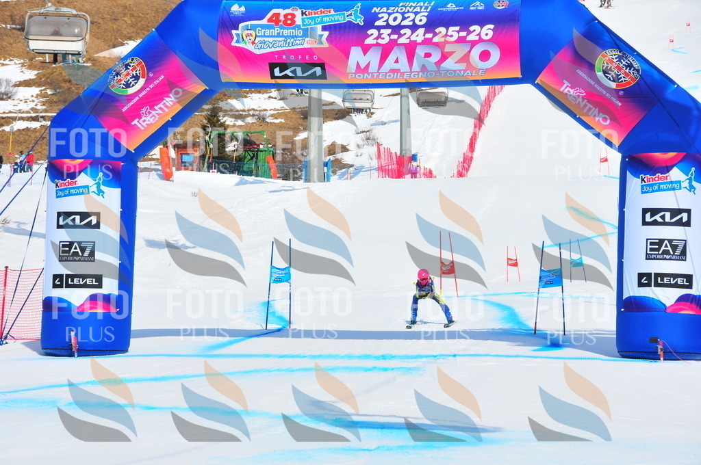 DSC_1388 | holidayphoto