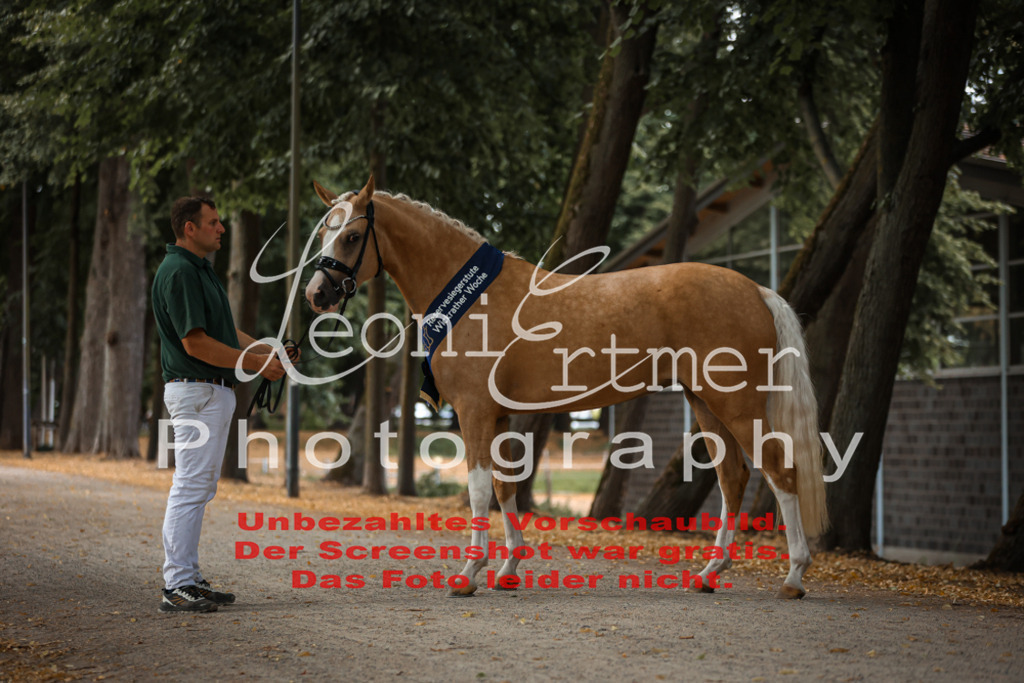 SoER00150 | Leoni Ertmer Photography - Realisiert mit Pictrs.com